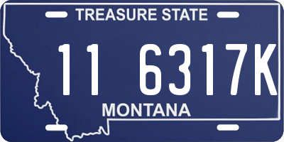 MT license plate 116317K