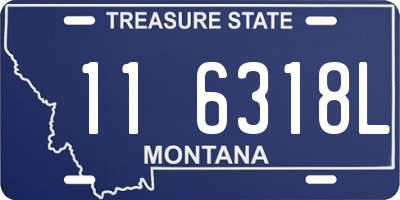 MT license plate 116318L