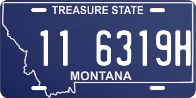 MT license plate 116319H