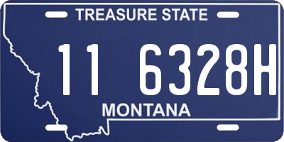 MT license plate 116328H
