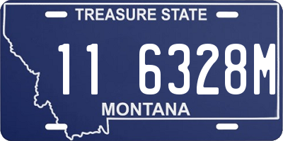 MT license plate 116328M