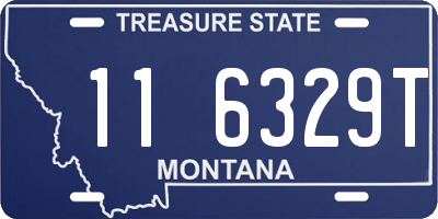 MT license plate 116329T