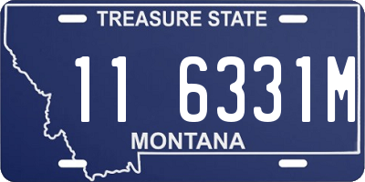 MT license plate 116331M