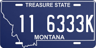 MT license plate 116333K