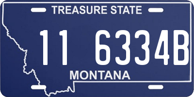 MT license plate 116334B