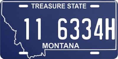 MT license plate 116334H
