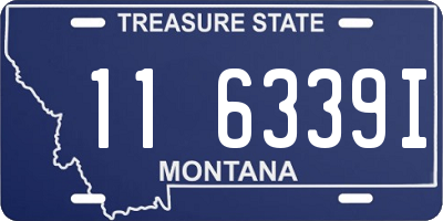 MT license plate 116339I