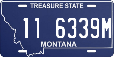 MT license plate 116339M