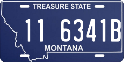 MT license plate 116341B