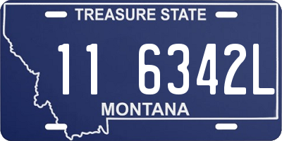 MT license plate 116342L