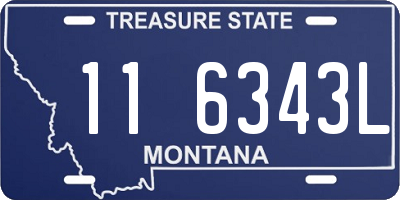 MT license plate 116343L