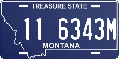 MT license plate 116343M