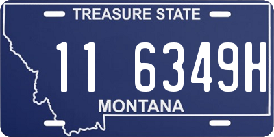 MT license plate 116349H