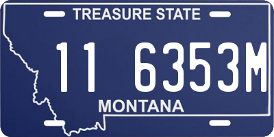 MT license plate 116353M