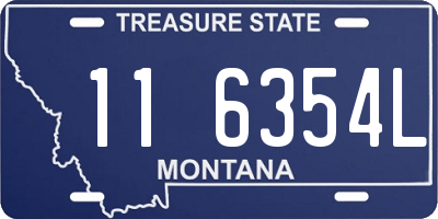 MT license plate 116354L