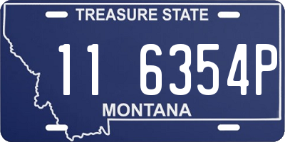MT license plate 116354P