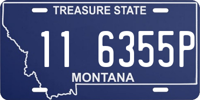 MT license plate 116355P