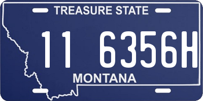 MT license plate 116356H