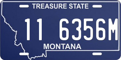 MT license plate 116356M