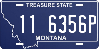 MT license plate 116356P