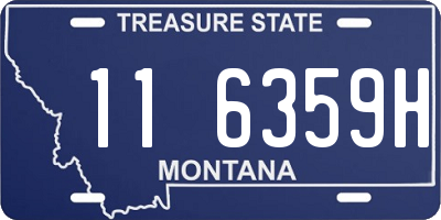 MT license plate 116359H
