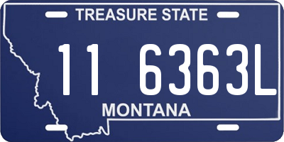 MT license plate 116363L