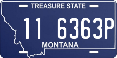 MT license plate 116363P