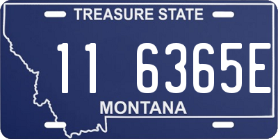 MT license plate 116365E