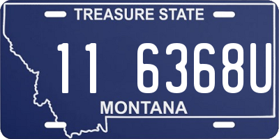 MT license plate 116368U