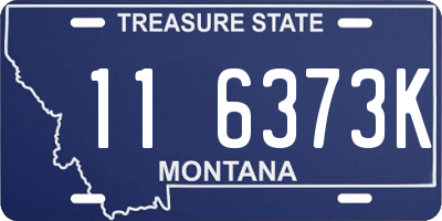 MT license plate 116373K