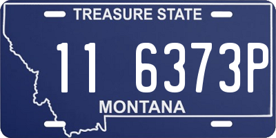 MT license plate 116373P