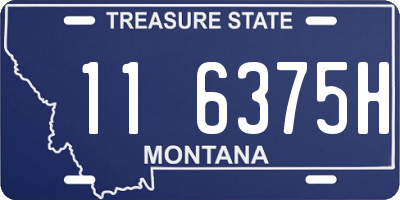 MT license plate 116375H