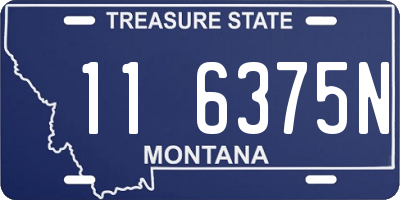 MT license plate 116375N