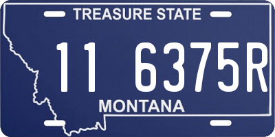 MT license plate 116375R