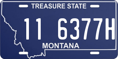 MT license plate 116377H
