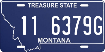 MT license plate 116379G