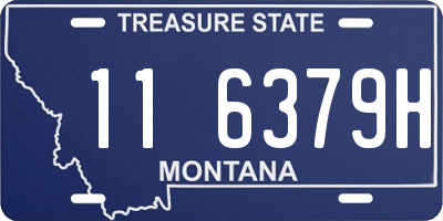 MT license plate 116379H