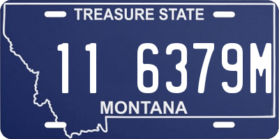 MT license plate 116379M
