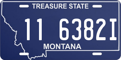 MT license plate 116382I