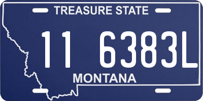 MT license plate 116383L