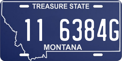MT license plate 116384G