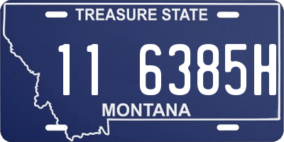 MT license plate 116385H