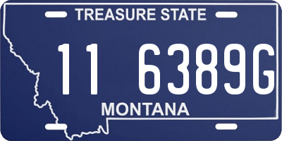 MT license plate 116389G