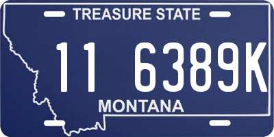 MT license plate 116389K