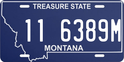 MT license plate 116389M