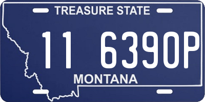 MT license plate 116390P