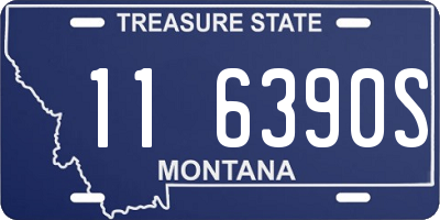 MT license plate 116390S