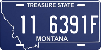 MT license plate 116391F