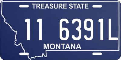 MT license plate 116391L