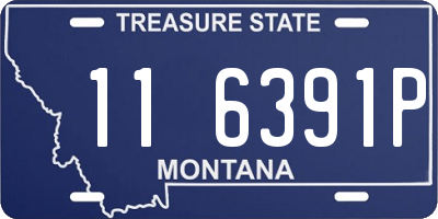 MT license plate 116391P